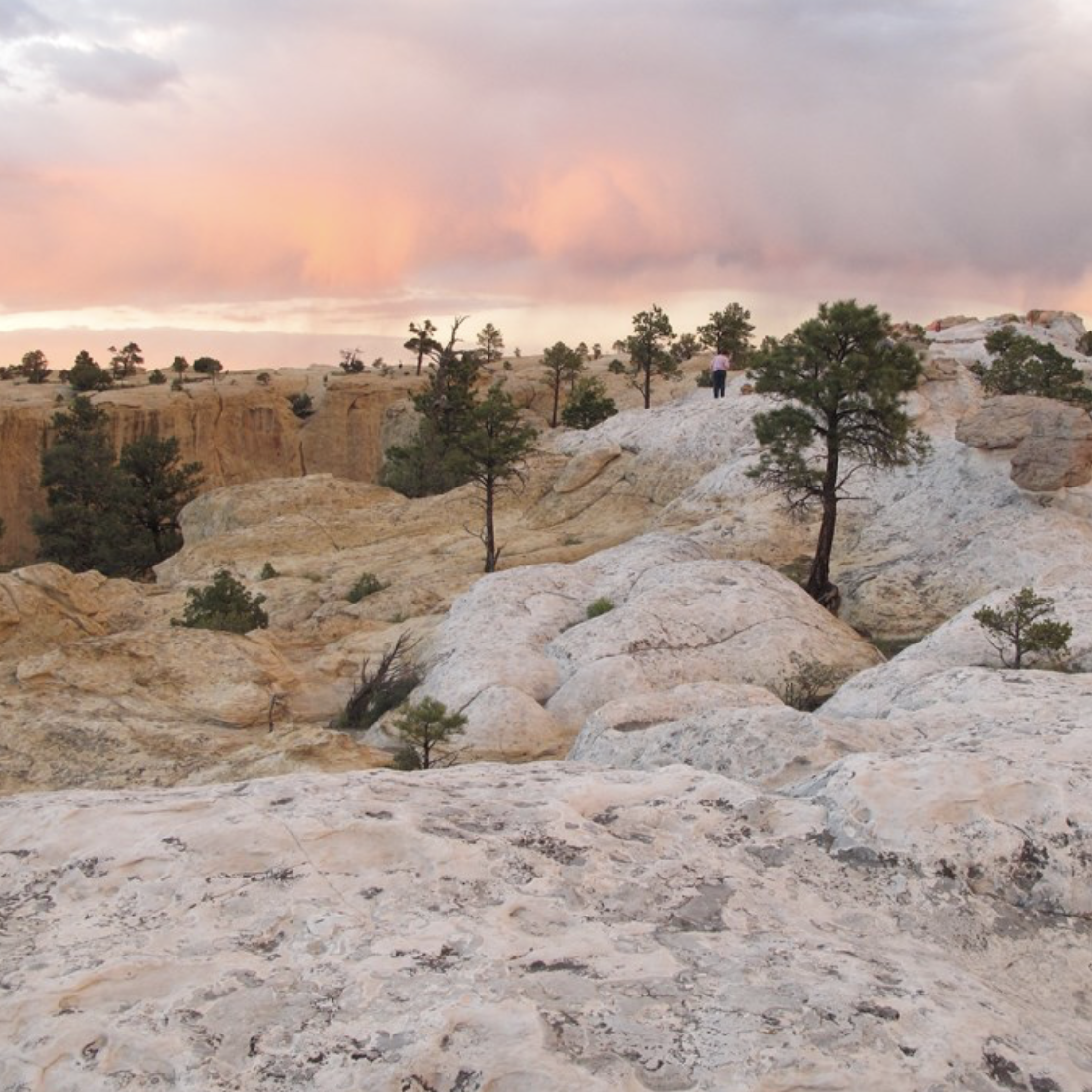 national parks donation
