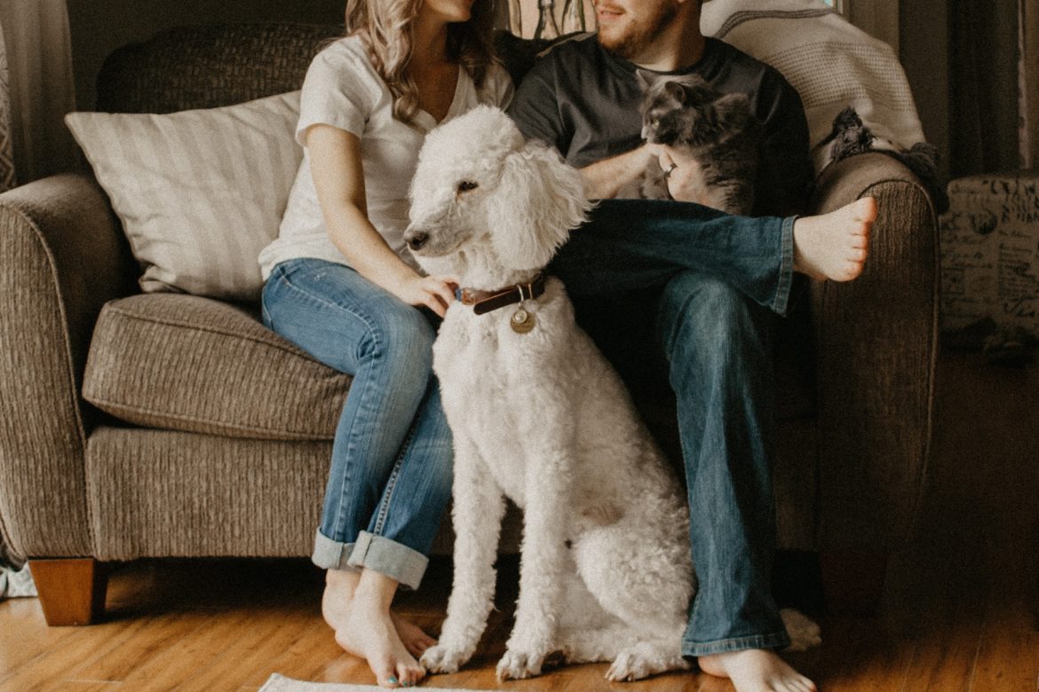 6 Pet Care Tips for Dogs, Geckos, and Everything in Between