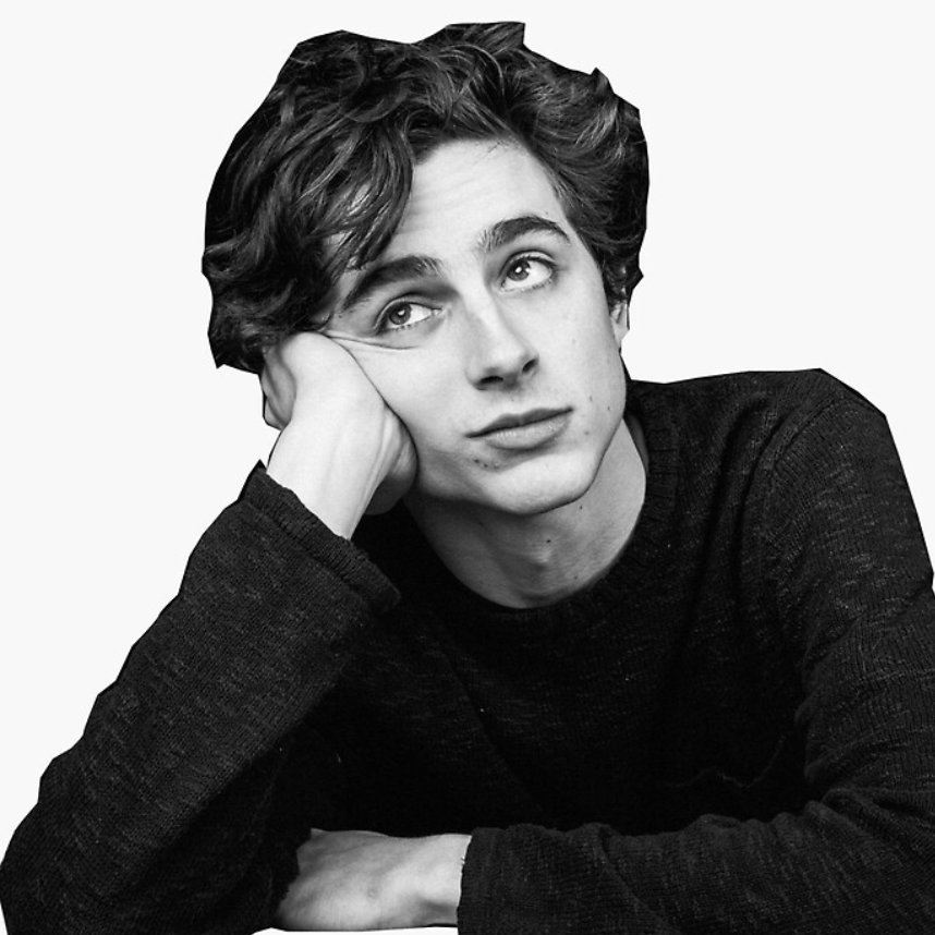 timothee chalamet laptop sticker